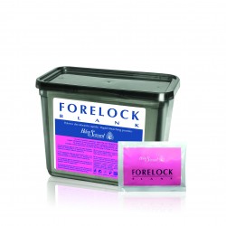 FORELOCK BLANK DECO BUSTINA