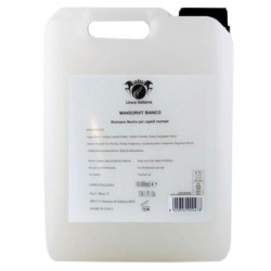 TANICA SHAMPOO 10L ECONOMICA